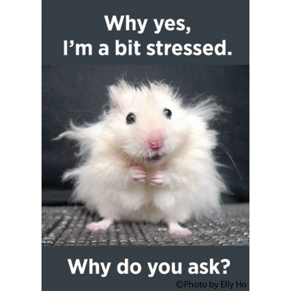 Magnet-Why yes, I'm a bit stressed. Why do you ask?