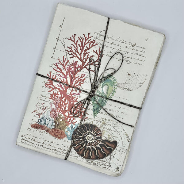 Shell and coral parchment notebook | 10 x 15 cm