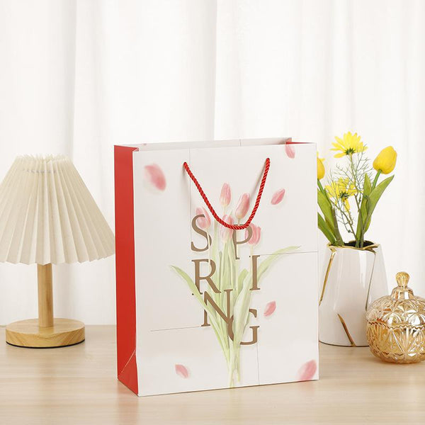 Paper Gift Bag（Random）