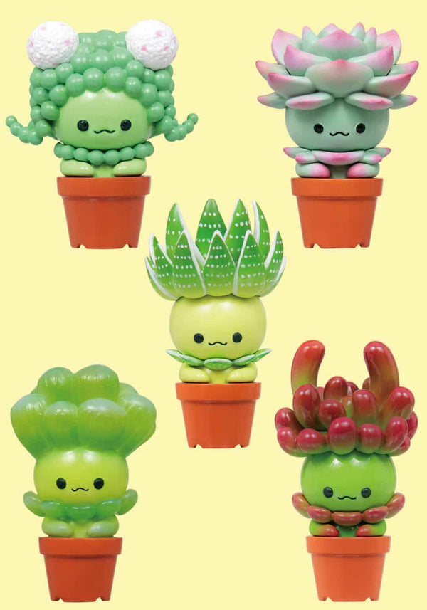 Qualia: Succulent Friends Blind Box