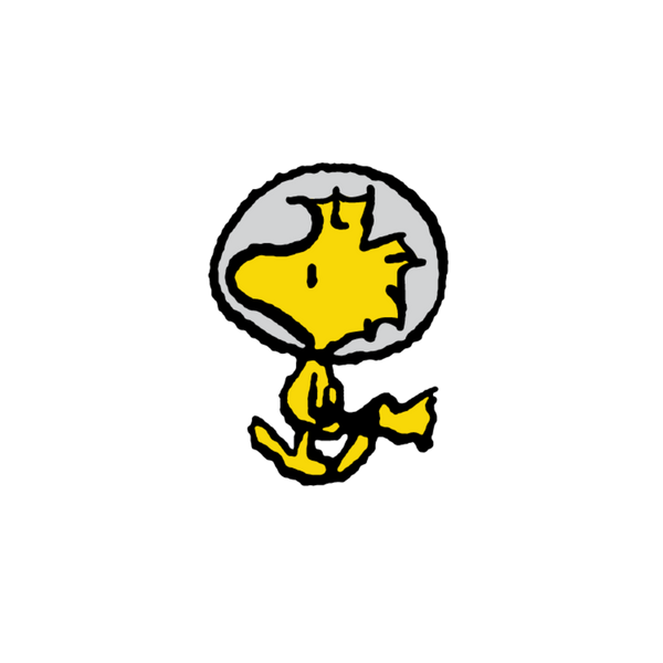 PINTRILL x PEANUTS - Woodstock Space Pin