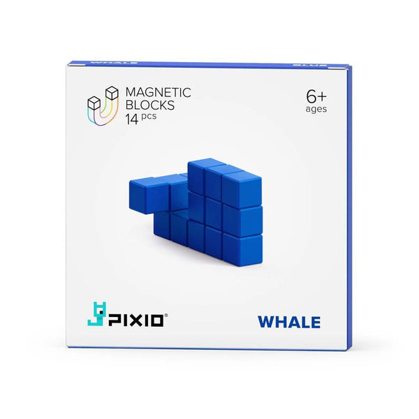 PIXIO x Blue Whale - 14