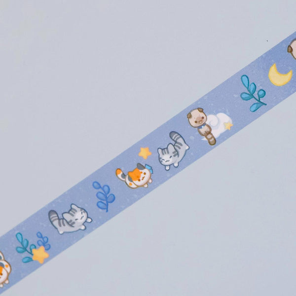 Washi Tape (Transparent) First Meow Kit - Kittens