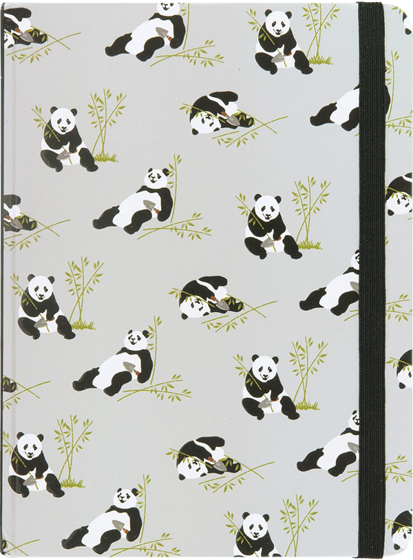 Pandas Journal Notebook