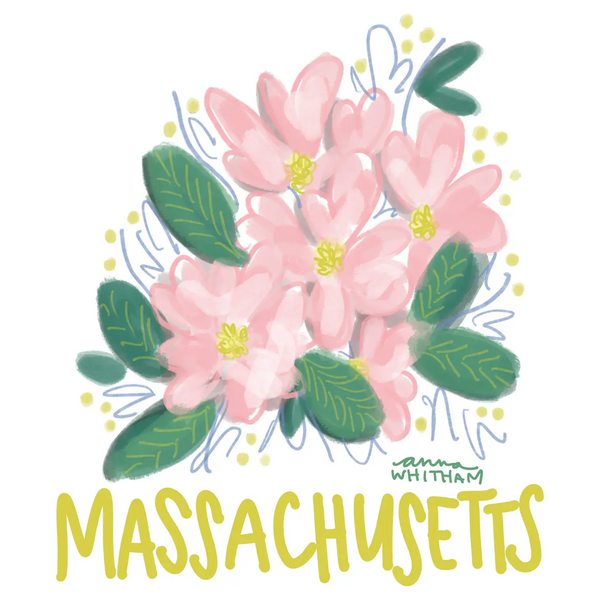 Massachusetts Mayflower Greeting Card